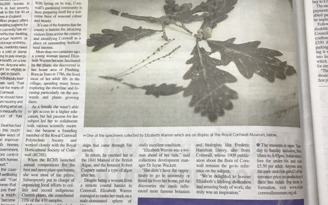 Making her mark in a man’s world – botanist Elizabeth Warren