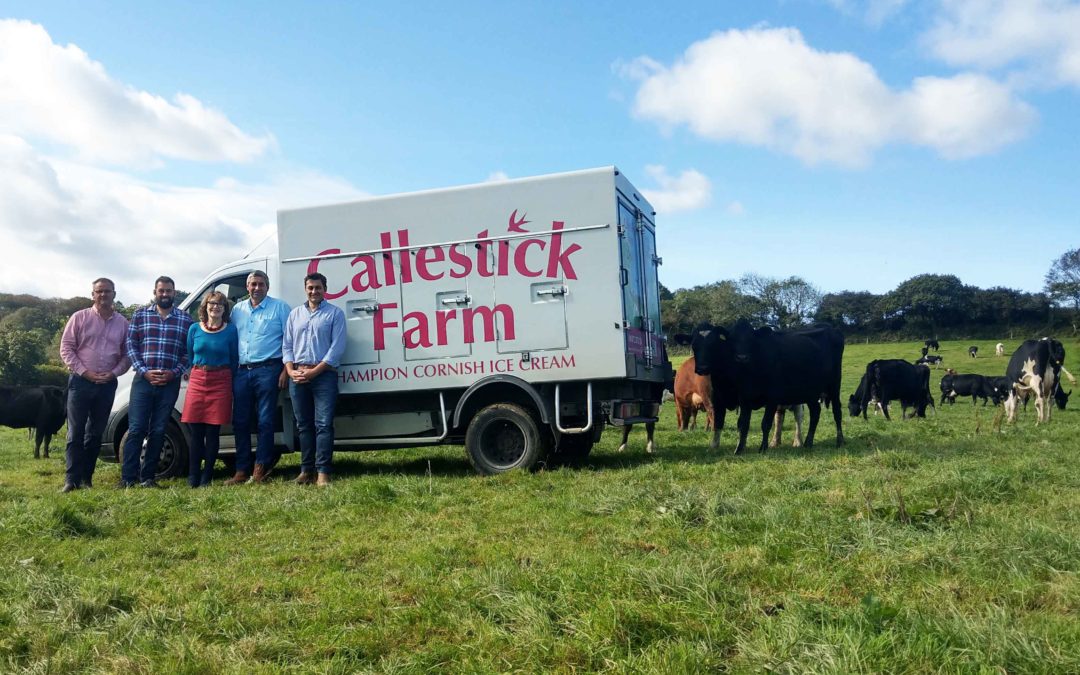 All-round success in Callestick’s anniversary year