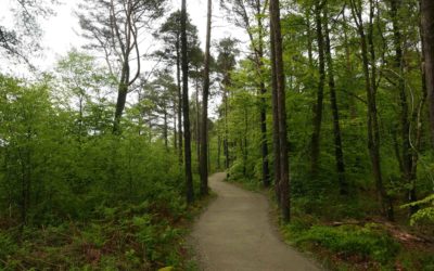New sponsor for popular family cycling trail