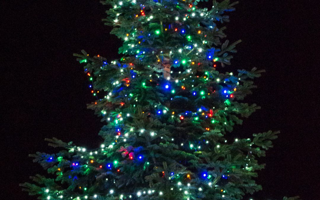 Camborne kicks off Christmas with virtual lights switch on