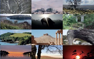 ‘Rook in Sunrise’ win for Derek