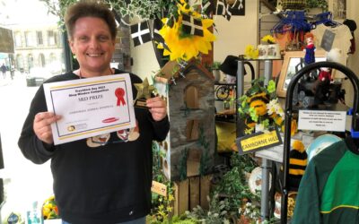Window winners