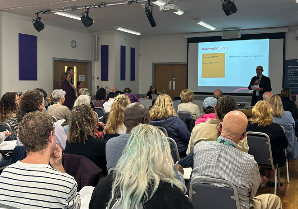 Co-producing Cornwall’s mental health strategy