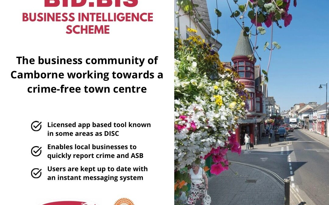 Working towards a crime-free Camborne
