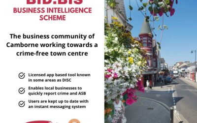 Working towards a crime-free Camborne
