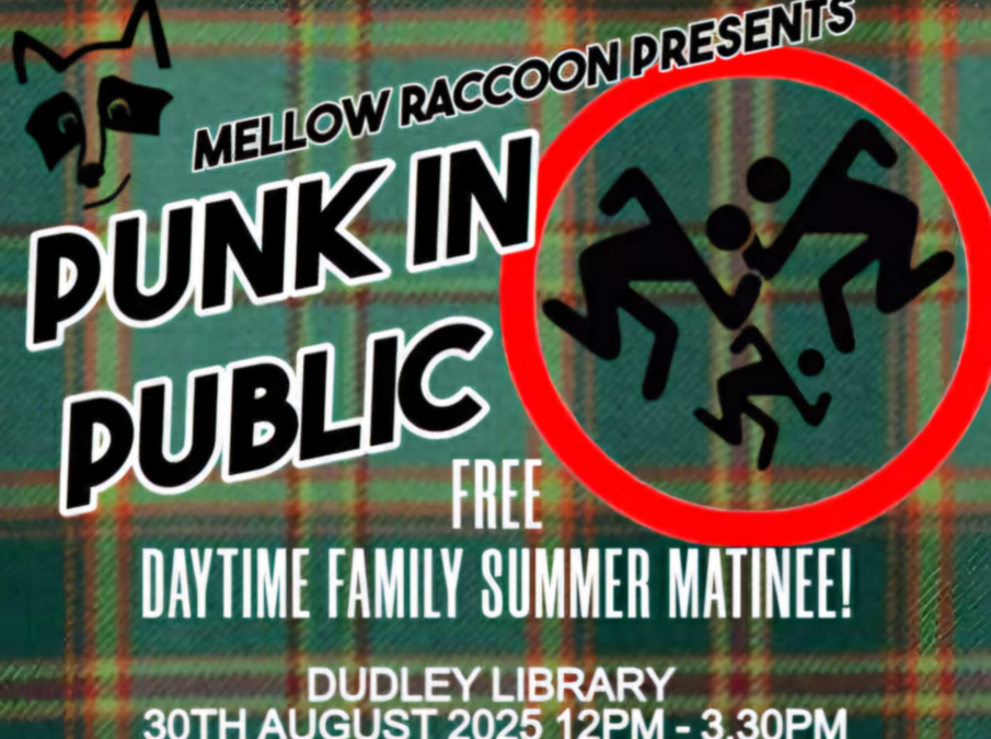 Punk at Dudley Library