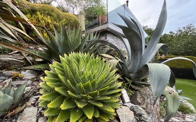 Visit secret gardens in Fowey