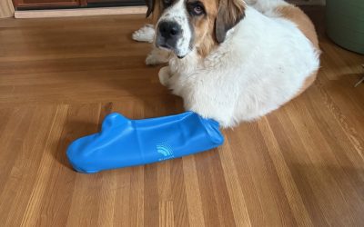 Winnie wins with her Bloccs cover