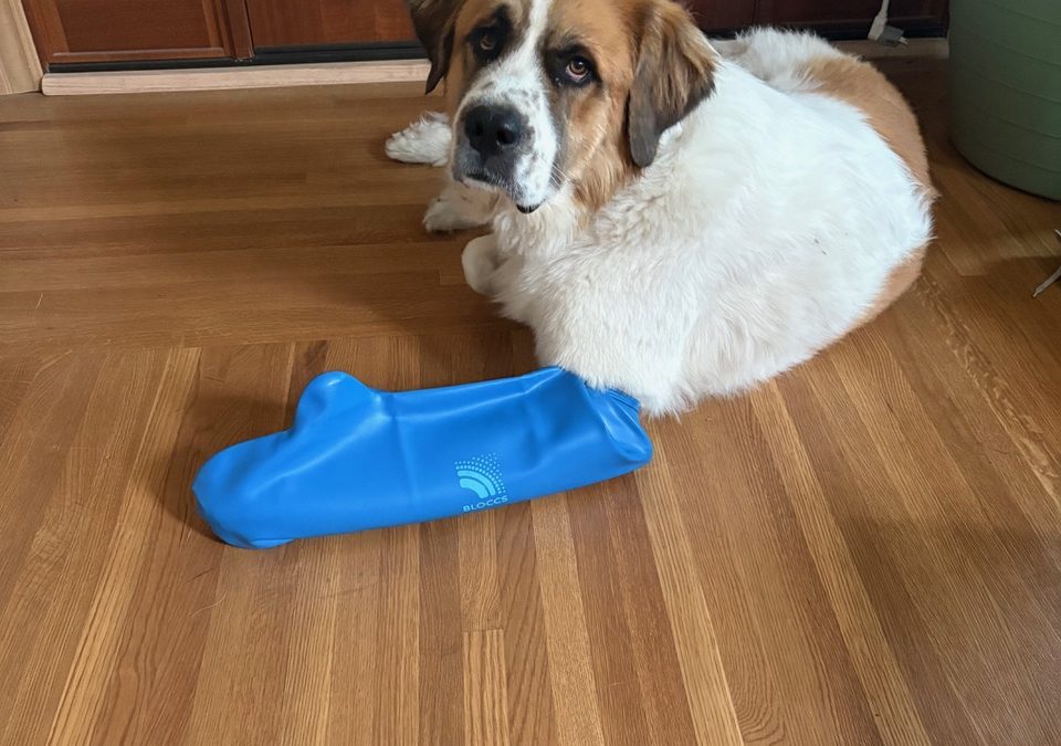 Winnie wins with her Bloccs cover